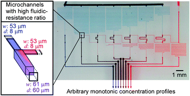 Graphical abstract: Generation of arbitrary monotonic concentration profiles by a serial dilution microfluidic network composed of microchannels with a high fluidic-resistance ratio