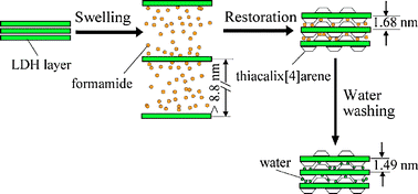 Graphical abstract: Topotactic intercalation of a bulky organic anion (thiacalix[4]arene) into LDH through an osmotic swelling/restoration reaction in formamide