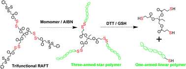 Graphical abstract: An approach to biodegradable star polymeric architectures using disulfide coupling