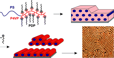 Graphical abstract: Thin films of complexed block copolymers