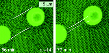 Graphical abstract: Grain boundary pinning in doped hard sphere crystals