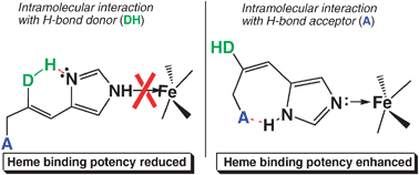 Graphical abstract: Intramolecular hydrogen bonding as a determinant of the inhibitory potency of N-unsubstituted imidazole derivatives towards mammalian hemoproteins