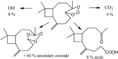 Graphical abstract: The gas-phase ozonolysis of β-caryophyllene (C15H24). Part II: A theoretical study