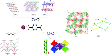 Graphical abstract: Indium(iii)-2,5-pyridine dicarboxylate complexes with mononuclear, 1D chain, 2D layer and 3D chiral frameworks
