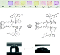 Graphical abstract: Reversible colorimetric ion sensors based on surface initiated polymerization of photochromic polymers