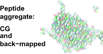 Graphical abstract: Self-assembling dipeptides: conformational sampling in solvent-free coarse-grained simulation