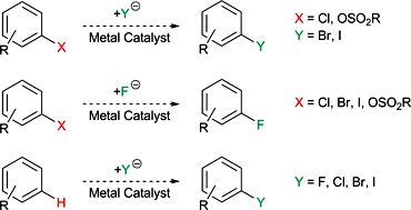 Graphical abstract: Metal-catalysed halogen exchange reactions of aryl halides