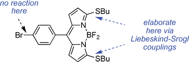 Graphical abstract: 3- and 5-Functionalized BODIPYs via the Liebeskind-Srogl reaction