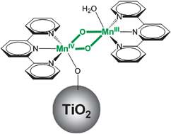 Graphical abstract: Deposition of an oxomanganese water oxidation catalyst on TiO2 nanoparticles: computational modeling, assembly and characterization