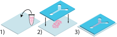 Graphical abstract: Microfluidic stickers for cell- and tissue-based assays in microchannels