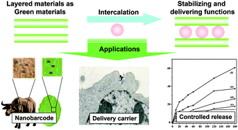 Graphical abstract: Layered nanomaterials for green materials