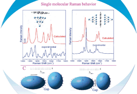 Graphical abstract: Stabilizing single-molecular Raman spectrum of a nonbonding molecule on Ag nanoparticles