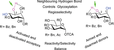 Graphical abstract: On the origin of the regioselectivity in glycosylation reactions of 1,2-diols
