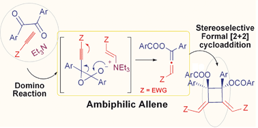 Graphical abstract: Ambiphilic allenes: synthesis and reactivity
