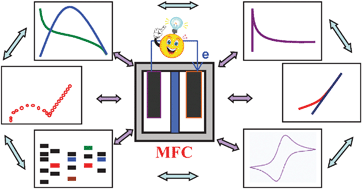 Graphical abstract: Techniques for the study and development of microbial fuel cells: an electrochemical perspective