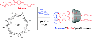 Graphical abstract: Selective glucose recognition by boronic acid azoprobe/γ-cyclodextrin complexes in water