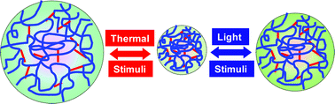 Graphical abstract: Thermo- and photo-responsive polymeric systems