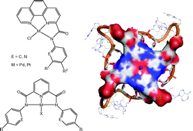 Graphical abstract: Effect of metal coordination on the interaction of substituted phenanthroline and pyridine ligands with quadruplex DNA