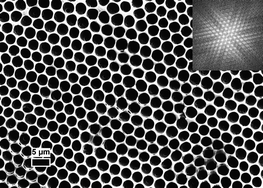 Graphical abstract: Robust and hydrophilic polymeric films with honeycomb pattern and their cell scaffold applications