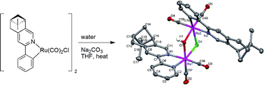 Graphical abstract: μ-Chlorido, μ-hydroxo-bridged dicarbonyl ruthenacycles: synthesis, structure and catalytic properties in hydrogen atom transfer