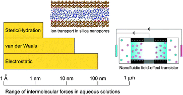 Graphical abstract: Ion transport in nanofluidic channels