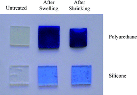 Graphical abstract: Toluidine blue-containing polymers exhibit potent bactericidal activity when irradiated with red laser light