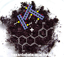 Graphical abstract: A hybrid material assembled by anthocyanins from açaí fruit intercalated between niobium lamellar oxide