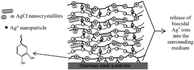 Graphical abstract: All-in-one strategy for the fabrication of antimicrobial biomimetic films on stainless steel