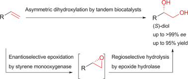 Graphical abstract: Asymmetric dihydroxylation of arylolefins by sequential enantioselective epoxidation and regioselective hydrolysis with tandem biocatalysts
