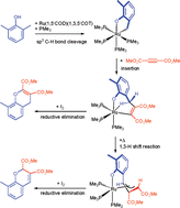 Graphical abstract: Reaction of an oxaruthenacycle with DMAD. Stoichiometric transformations of 2,6-xylenol to allylic phenols and benzopyrans via sp3 C–H bond cleavage reaction