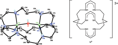 Graphical abstract: A novel trisprotonated β-dialdiminate cryptand