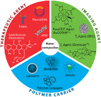 Graphical abstract: Polymeric nanomedicine for cancer MR imaging and drug delivery