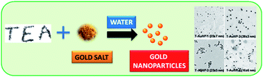 Graphical abstract: Green nanotechnology from tea: phytochemicals in tea as building blocks for production of biocompatible gold nanoparticles