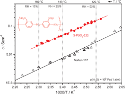Graphical abstract: Poly(p-phenylene sulfone)s with high ion exchange capacity: ionomers with unique microstructural and transport features