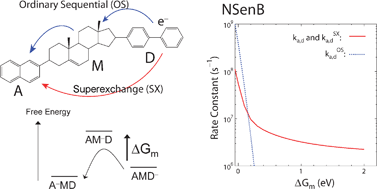 Graphical abstract: Sequential or superexchange mechanism in bridged electron transfer distinguished by dynamics at a bridging molecule