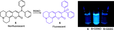 Graphical abstract: A fluorogenic dye activated by S-nitrosothiols