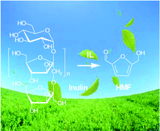 Graphical abstract: Direct conversion of inulin to 5-hydroxymethylfurfural in biorenewable ionic liquids