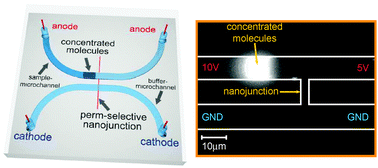 Graphical abstract: Nanofluidic concentration devices for biomolecules utilizing ion concentration polarization: theory, fabrication, and applications