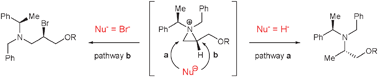 Graphical abstract: Nucleophile-dependent regioselective ring opening of 2-substituted N,N-dibenzylaziridinium ions: bromideversushydride