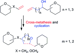 Graphical abstract: Exploiting the cross-metathesis reaction in the synthesis of pseudo-oligosaccharides