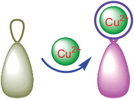 Graphical abstract: Cu2+-selective naked-eye and fluorescent probe: its crystal structure and application in bioimaging