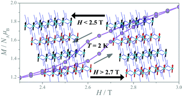 Graphical abstract: A metamagnetic 2D copper(ii)-azide complex with 1D ferromagnetism and a hysteretic spin-flop transition