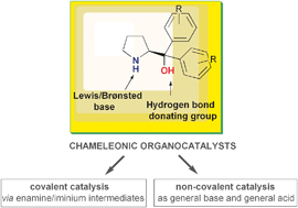 Graphical abstract: α,α-Diarylprolinols: bifunctional organocatalysts for asymmetric synthesis