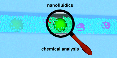 Graphical abstract: Nanofluidics in chemical analysis