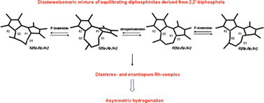 Graphical abstract: Chiral diphosphinites derived from 2,2-biphosphole as a new class of stereodynamic ligands for enantioselective hydrogenation