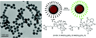 Graphical abstract: Hybrid silica nanoparticles for luminescent spore detection