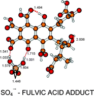 Graphical abstract: A combined theoretical and experimental study on the oxidation of fulvic acid by the sulfate radical anion