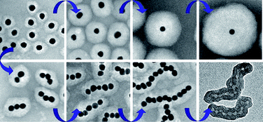 Graphical abstract: Highly controlled core/shell structures: tunable conductive polymer shells on gold nanoparticles and nanochains