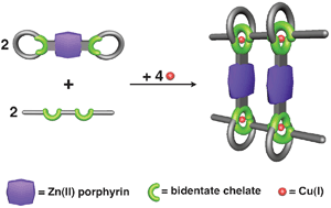 Graphical abstract: Quantitative formation of [4]pseudorotaxanes from two rods and two bis-macrocycles incorporating porphyrinic plates between the rings