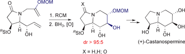 Graphical abstract: Asymmetric synthesis of (+)-castanospermine through enol ether metathesis–hydroboration/oxidation